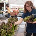 Jackie Pliska, owner of Wanczyk Produce in Hadley, puts out fresh Asparagus.