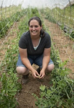 Meghan Hastings squats between rows of sugar snap peas while picking them. 