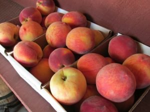 Loose peaches on a farm stand display